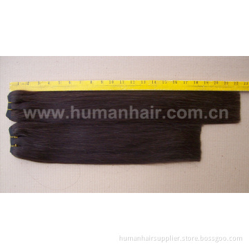 High Quality 100% Human Hair Weft (STW059)